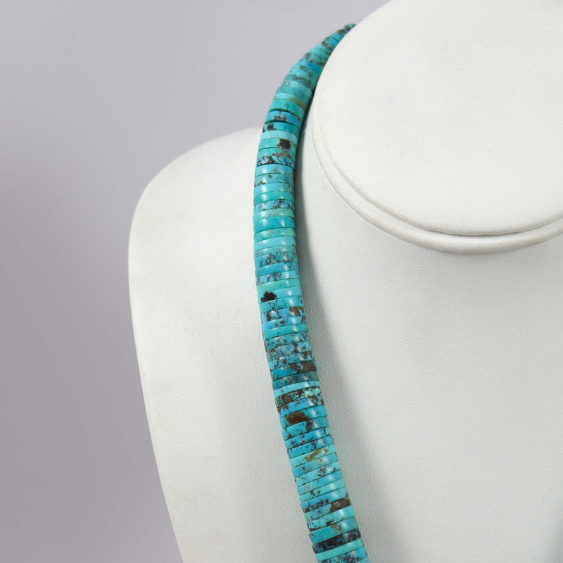 Turquoise and Spiny Necklace