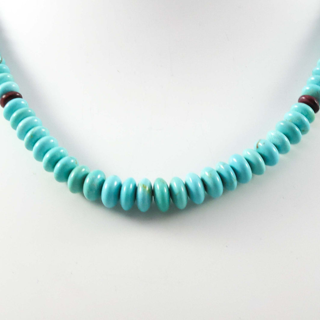 Turquoise and Spiny Necklace