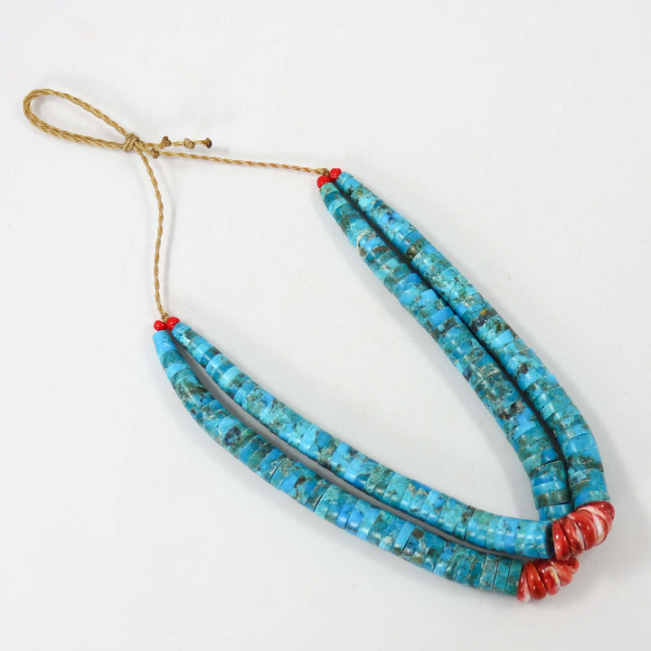 Turquoise and Spiny Jacla