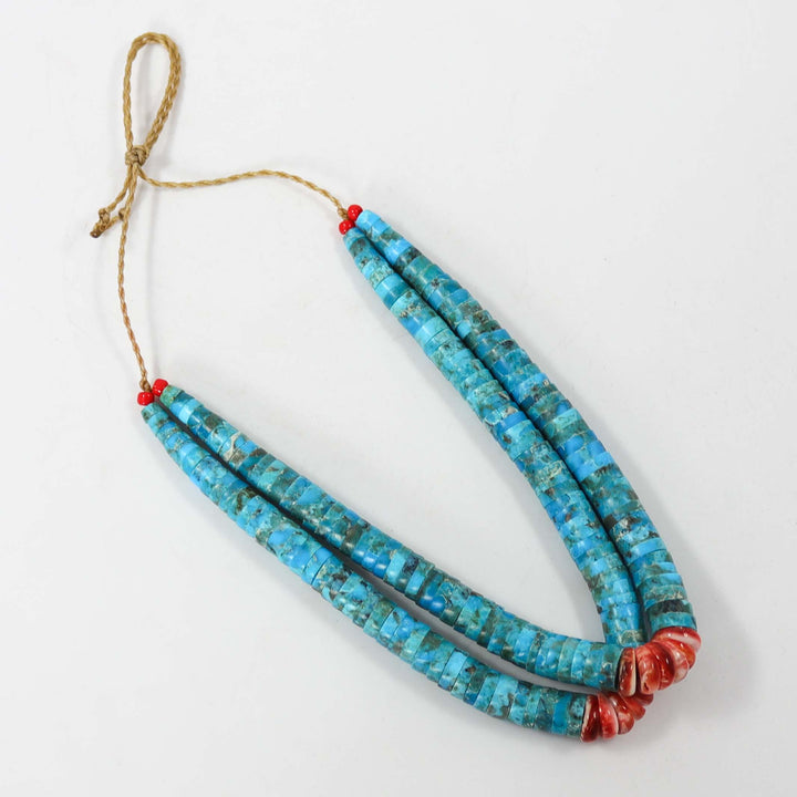 Turquoise and Spiny Jacla