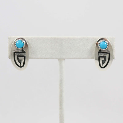 Sleeping Beauty Turquoise Earrings