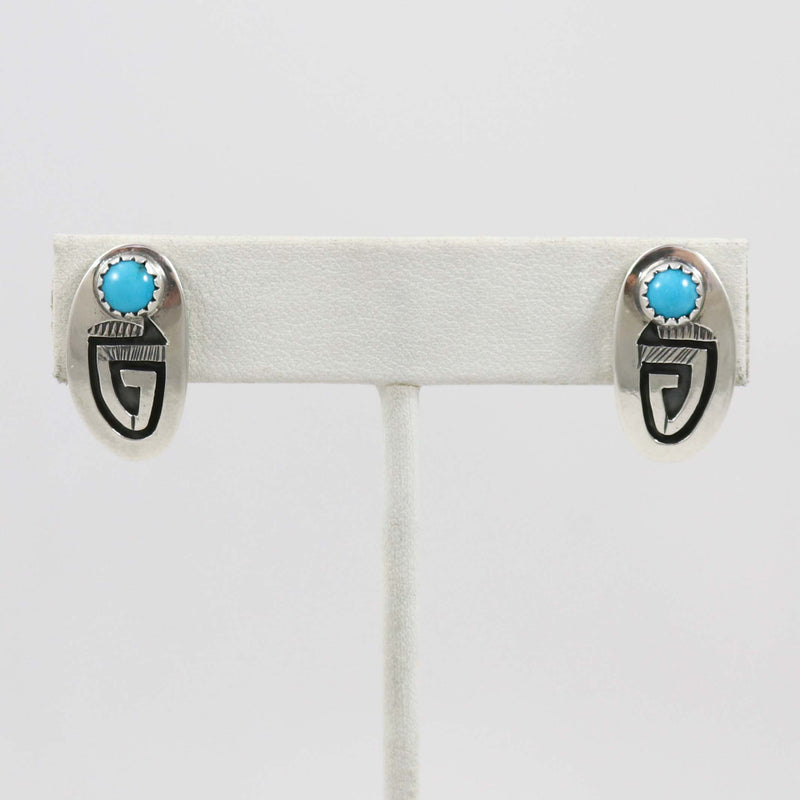 Sleeping Beauty Turquoise Earrings