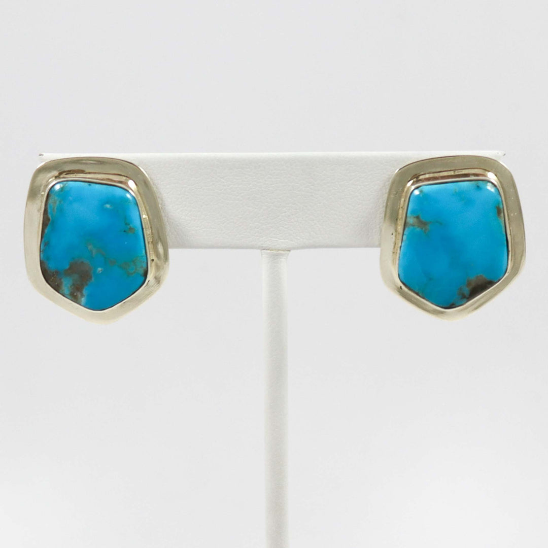 Blue Gem Turquoise Earrings