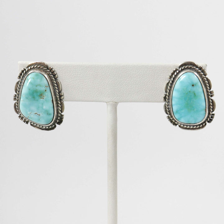 Dry Creek Turquoise Earrings