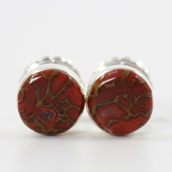 Dinosaur Bone Earrings