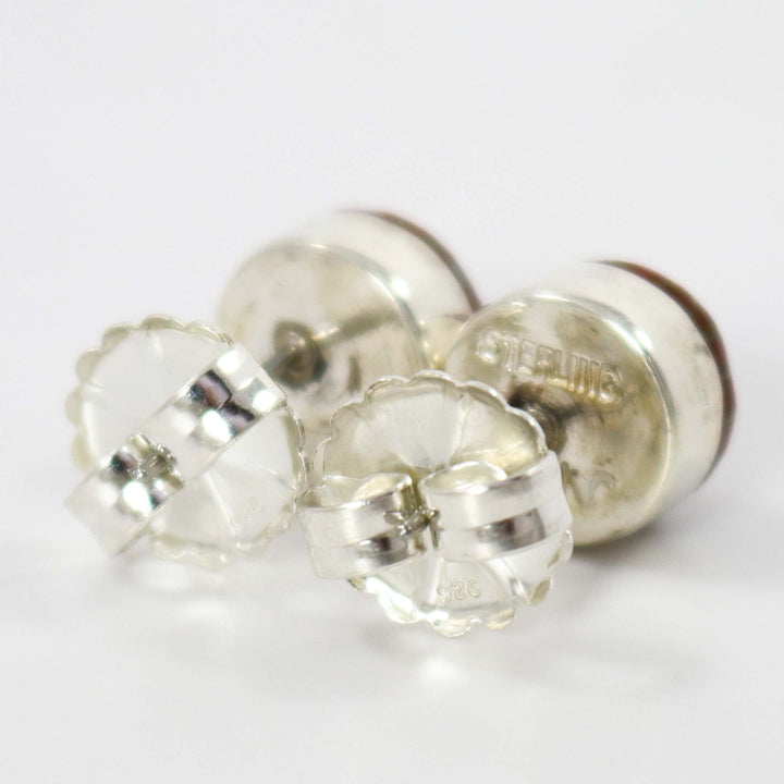 Dinosaur Bone Earrings