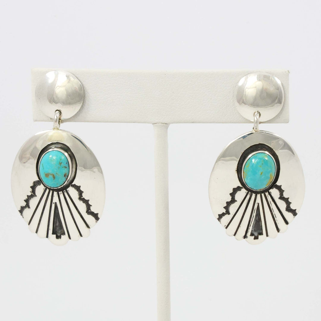 Sleeping Beauty Turquoise Earrings
