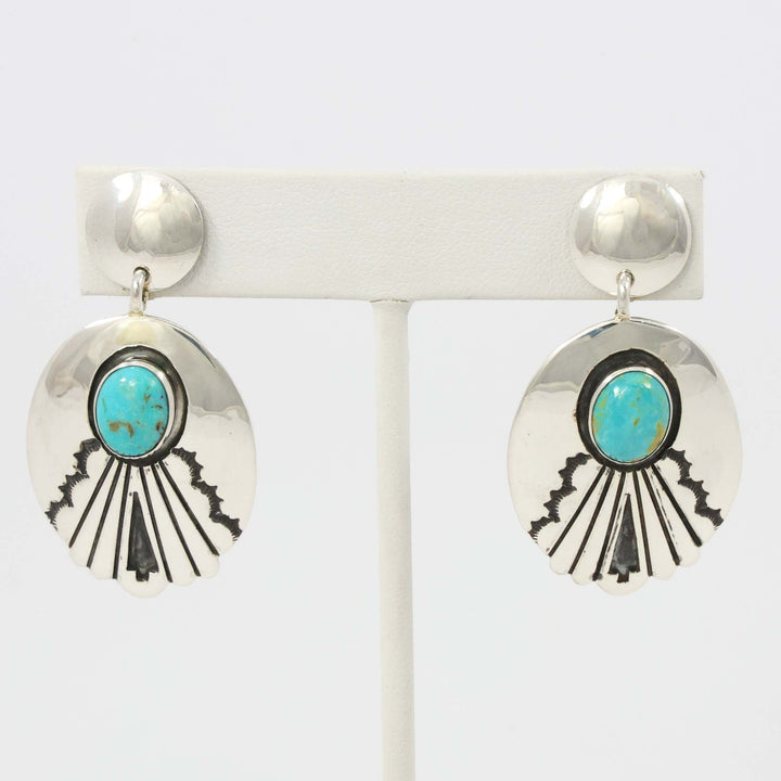Sleeping Beauty Turquoise Earrings