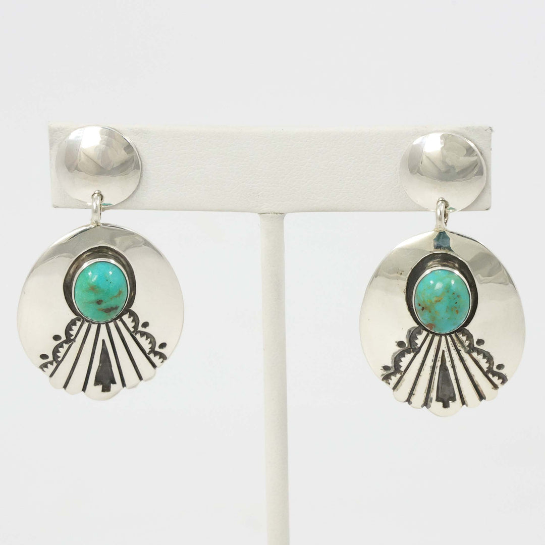 Sleeping Beauty Turquoise Earrings
