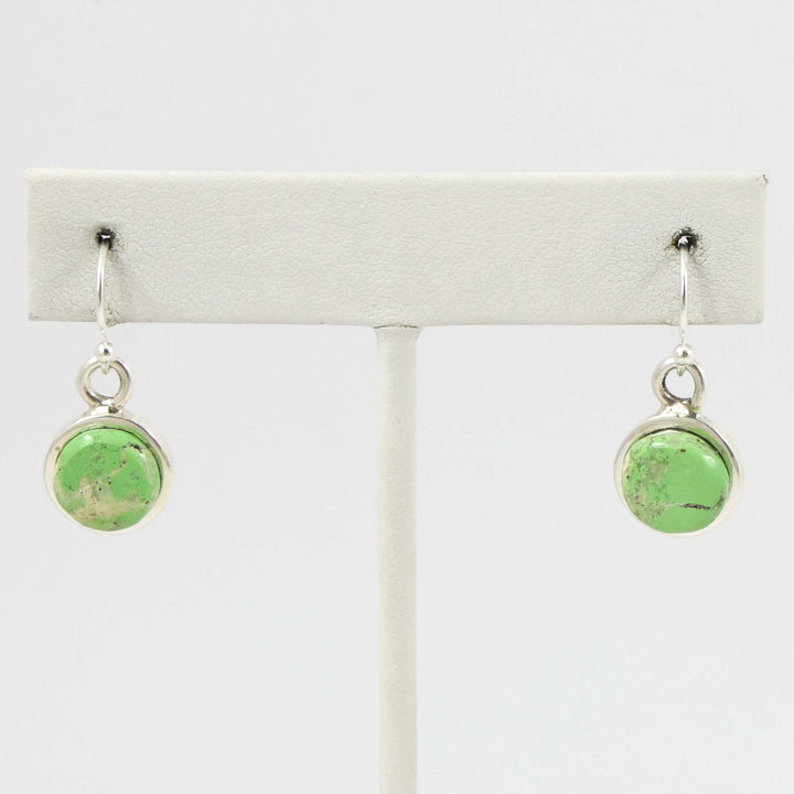 Unakite Earrings