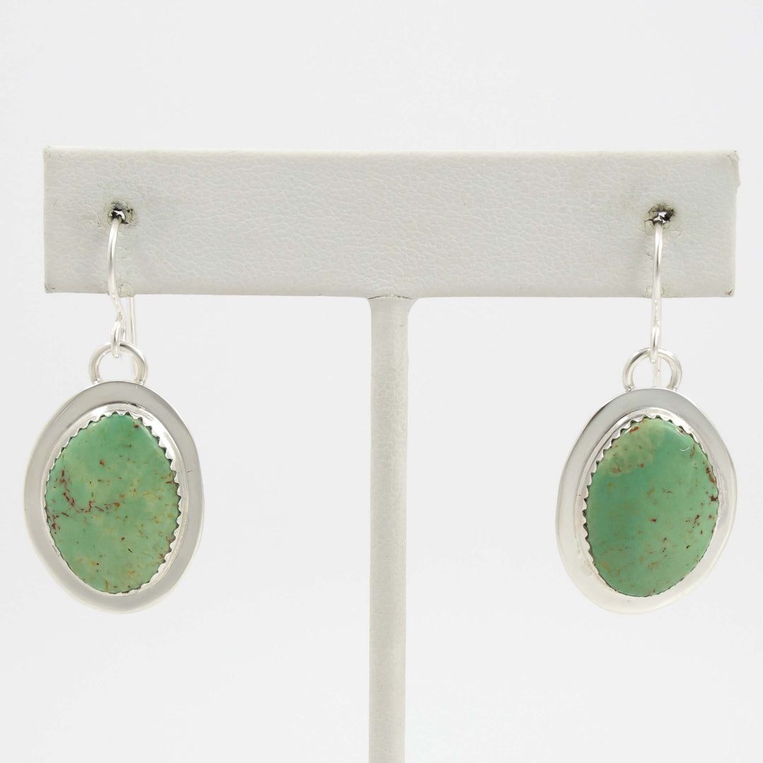 Royston Turquoise Earrings
