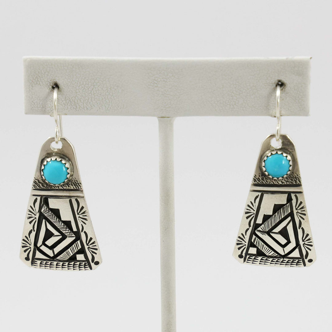 Sleeping Beauty Turquoise Earrings