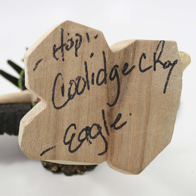 Eagle Dancer Kachina