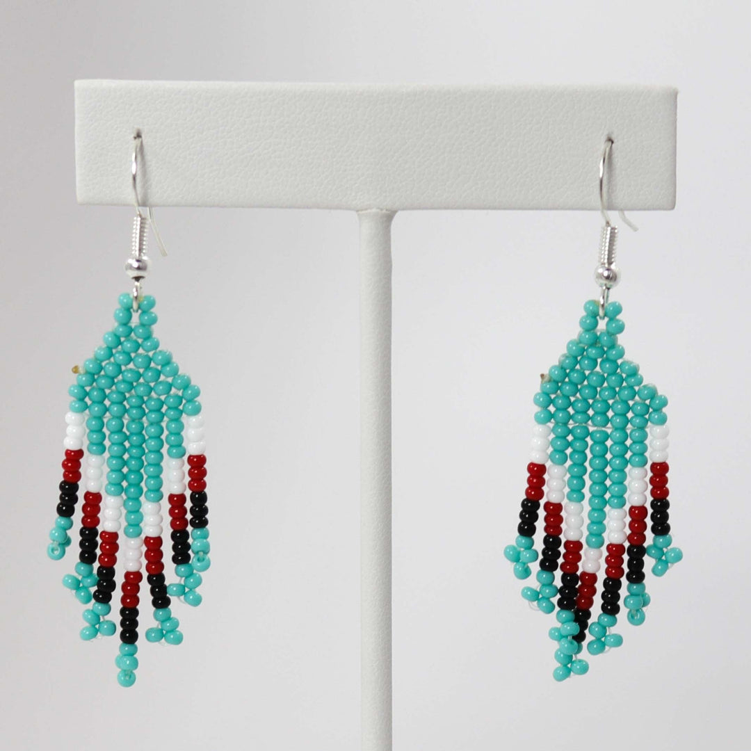 Beaded Necklace and Earring Set