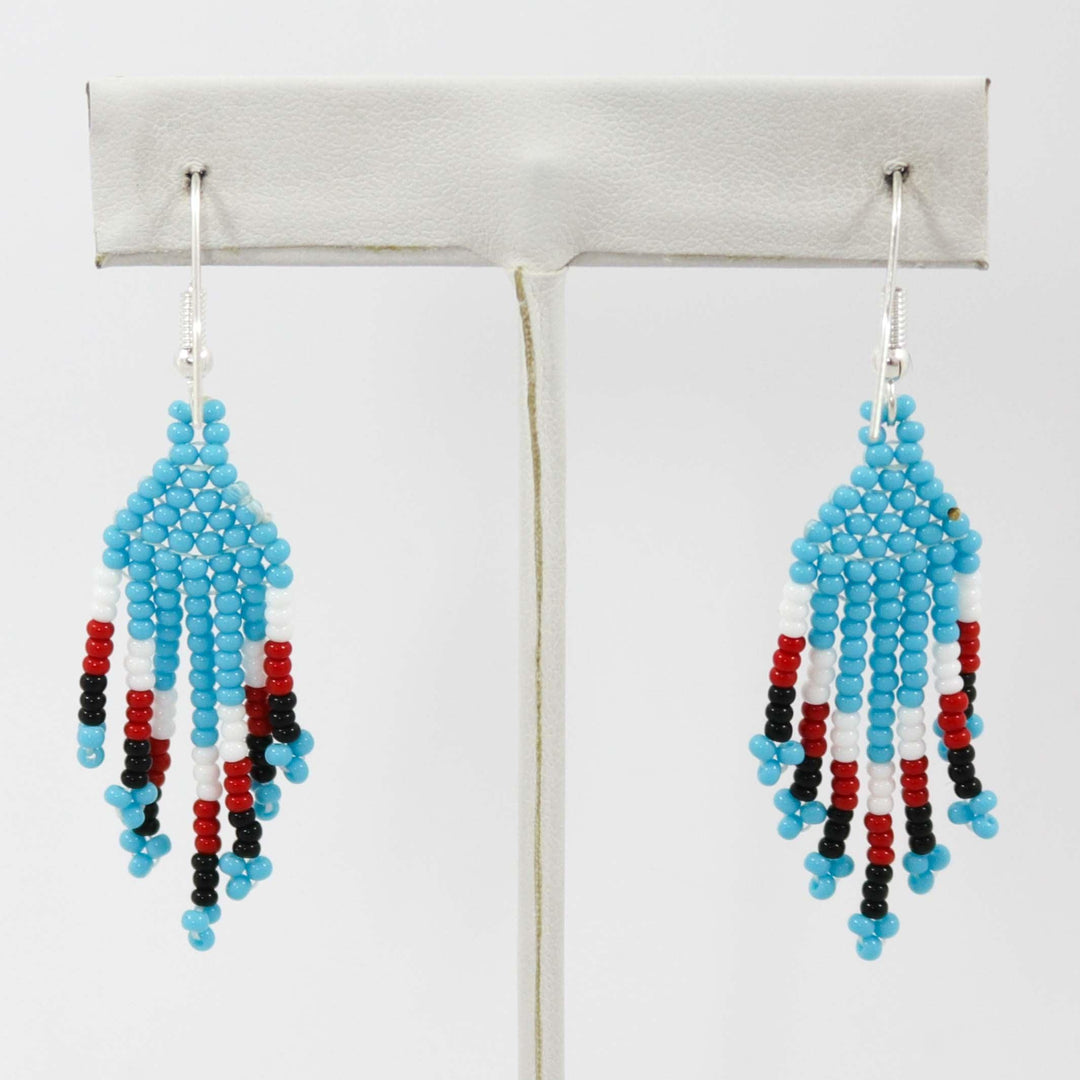 Beaded Necklace and Earring Set