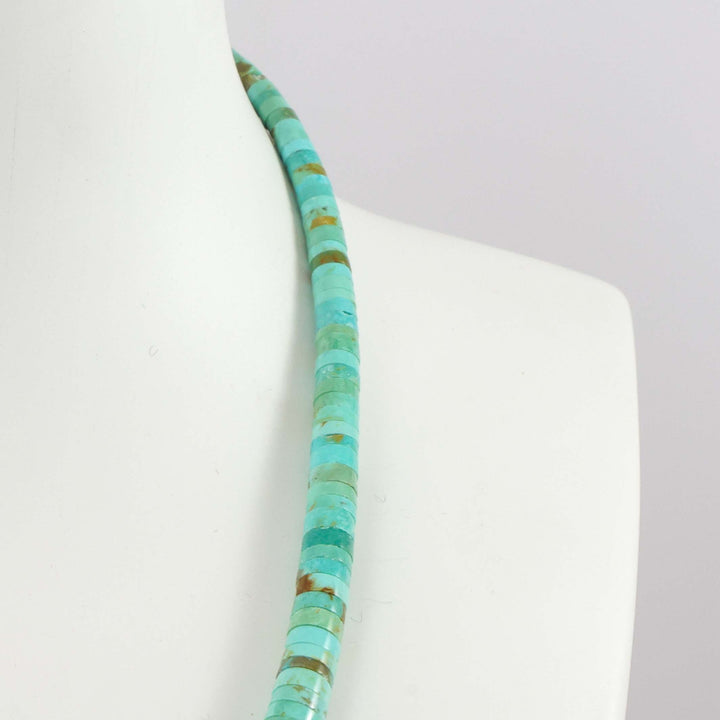 Turquoise and Spiny Oyster Necklace