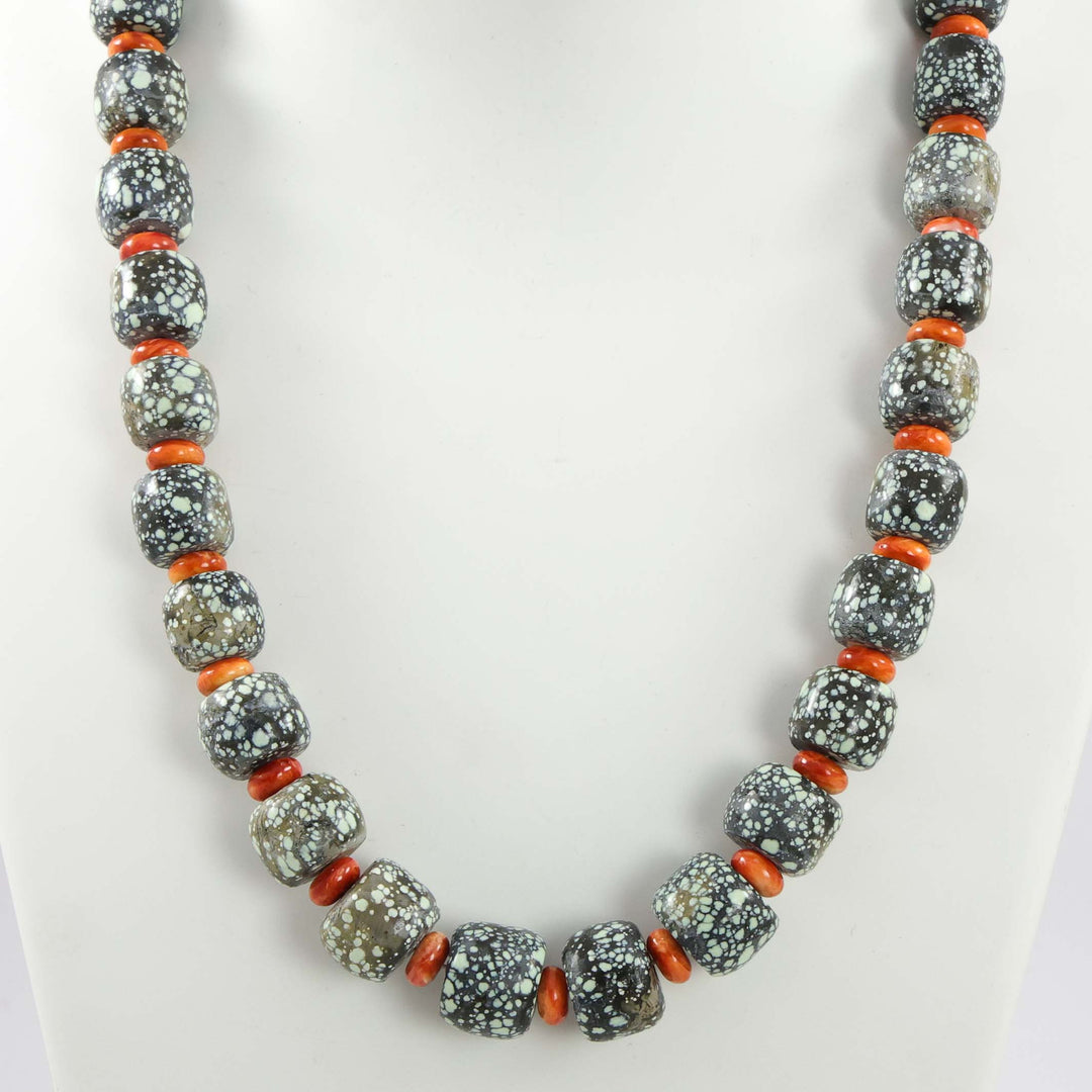 Skyfox Turquoise and Spiny Necklace