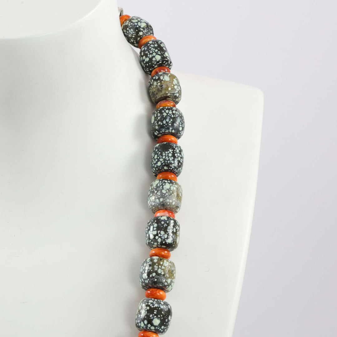 Skyfox Turquoise and Spiny Necklace