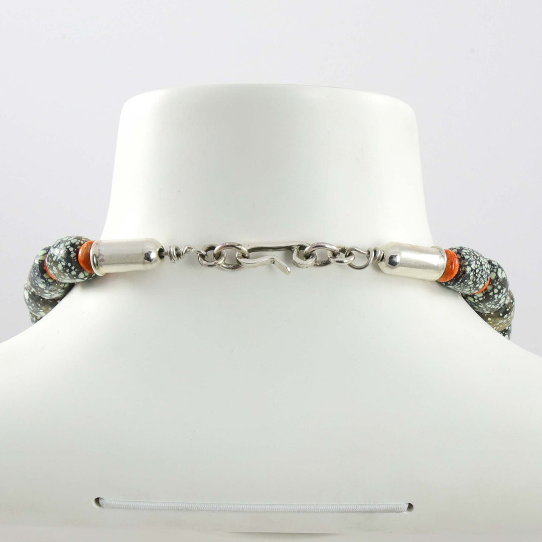 Skyfox Turquoise and Spiny Necklace