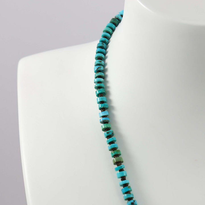 Turquoise and Spiny Oyster Necklace