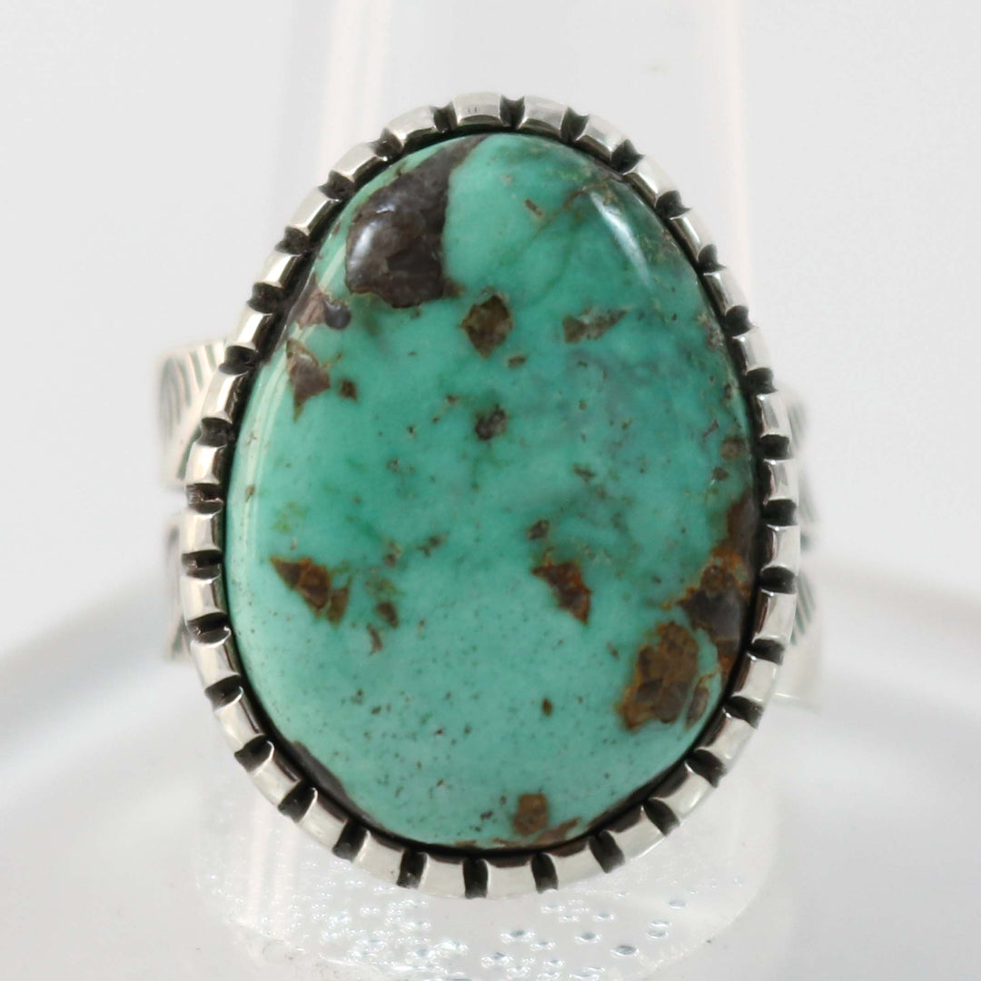 Northern Lights Turquoise Ring