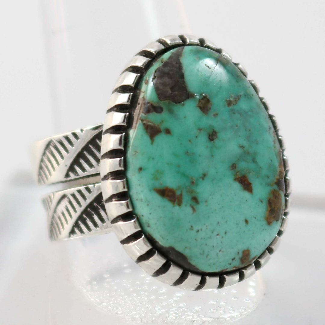 Northern Lights Turquoise Ring