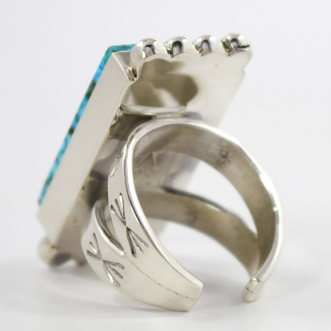 Ithaca Peak Turquoise Ring