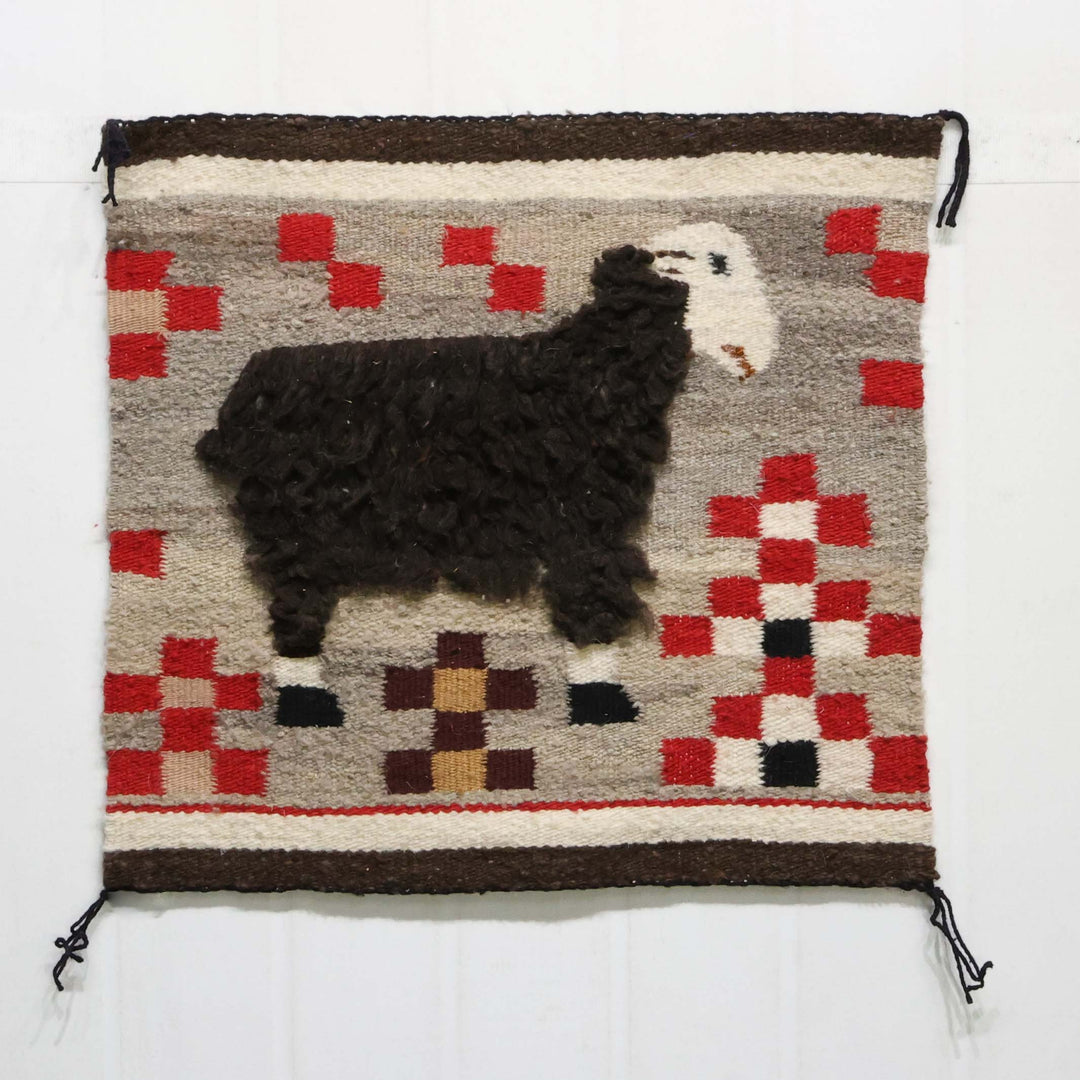 Sheep Pictorial