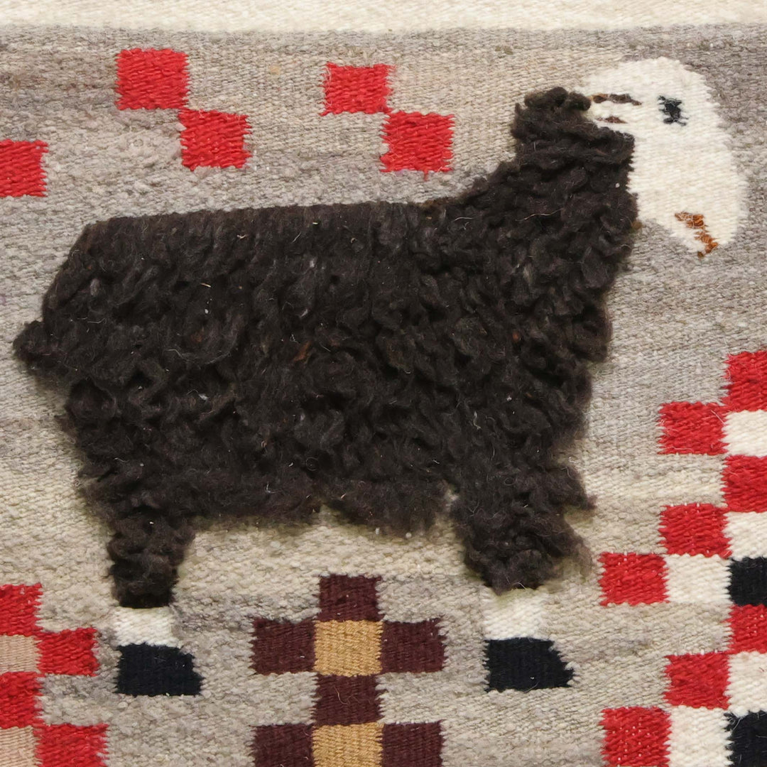 Sheep Pictorial