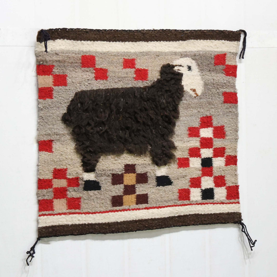 Sheep Pictorial
