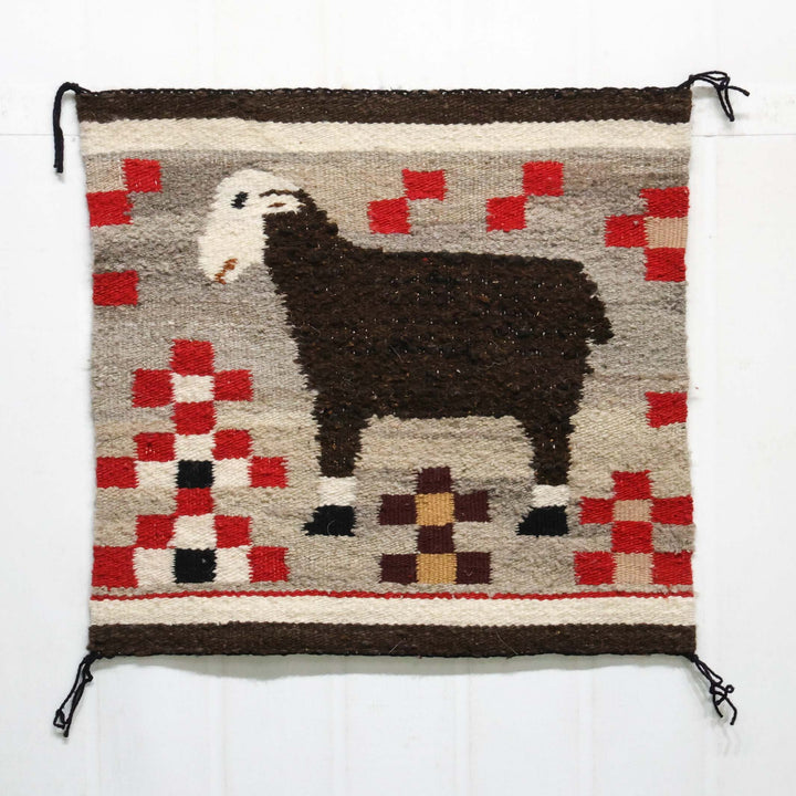 Sheep Pictorial