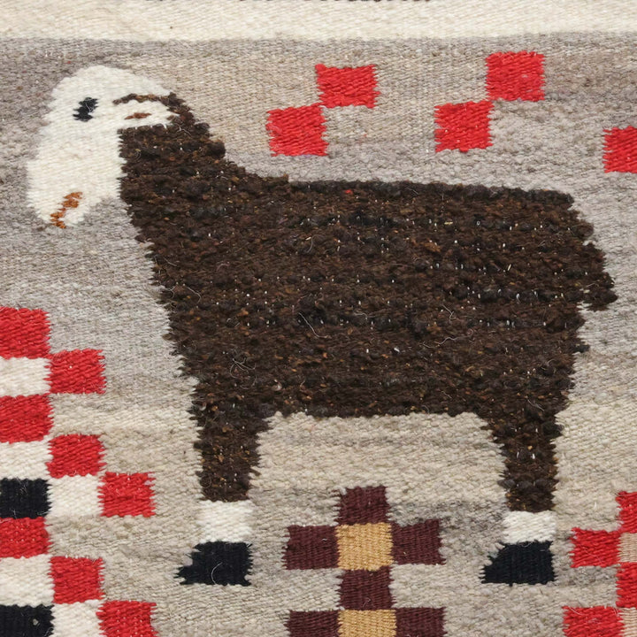 Sheep Pictorial