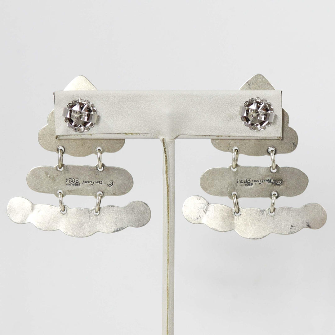 Multi-Stone Earrings by Don Lucas - Garland's