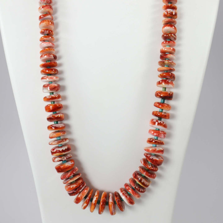 Spiny Oyster Shell and Turquoise Necklace by Raymond Tenorio - Garland's