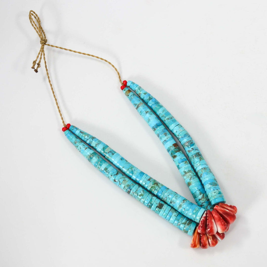 Turquoise and Spiny Jacla by Raymond Tenorio - Garland's