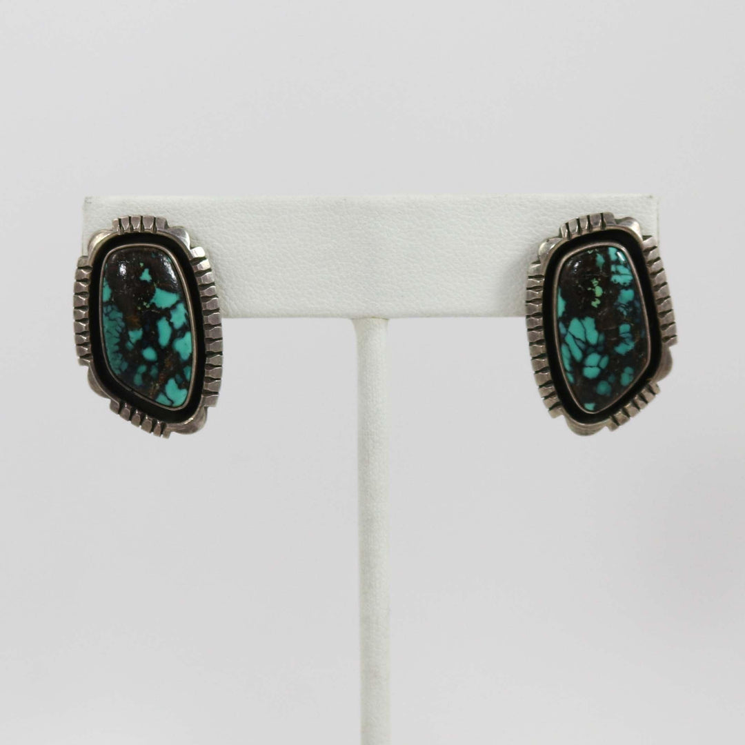 Turquoise Earrings