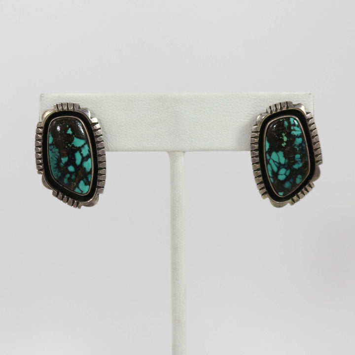 Boucles d'oreilles Turquoise