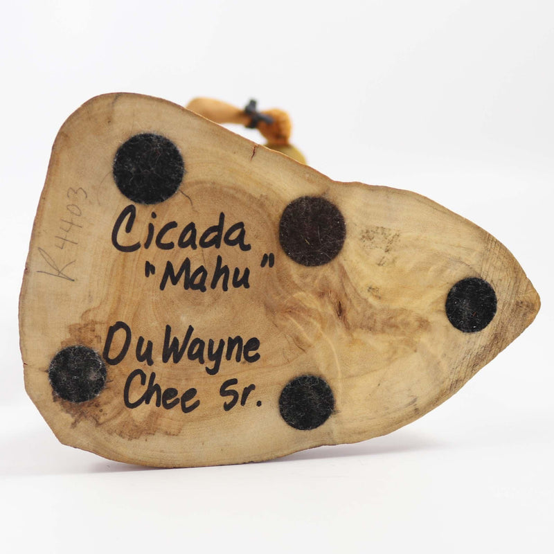 Cicada Kachina by Duwayne Chee - Garland&