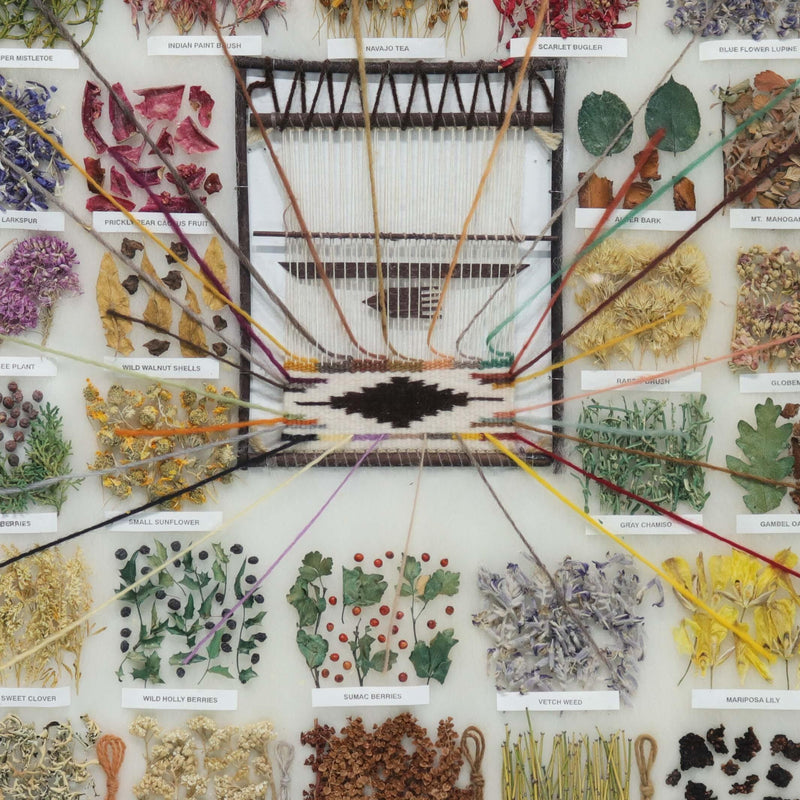 Dye Chart by Ella Myers - Garland&
