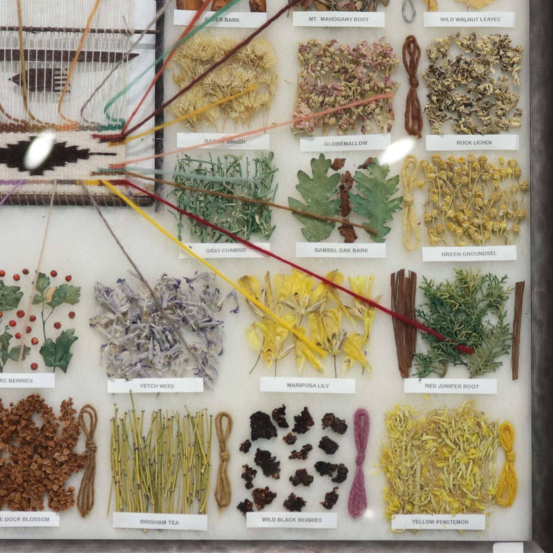 Dye Chart by Ella Myers - Garland&