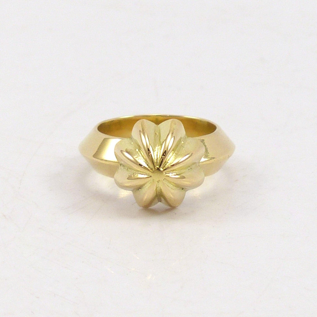 18k Gold Ring by Kyle Lee-Anderson - Garland's